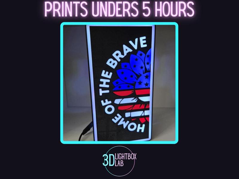 Patriotic Flower (3D Home Decor)