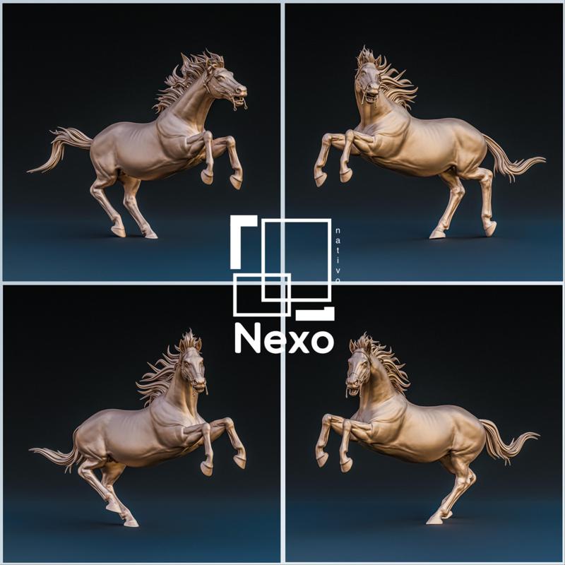 COLECCIÓN DE 4 CABALLOS - COLLECTION OF 4 HORSES