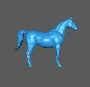 WHITE HORSE