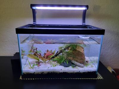 Aquarium lamp and circuit board box