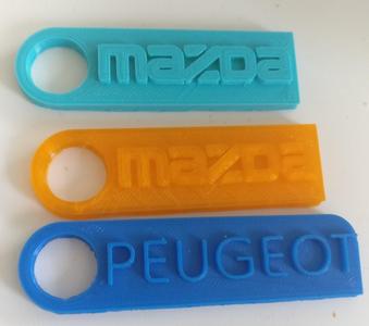 Keychain for Peugeot, Skoda, Audi, Land Rover etc