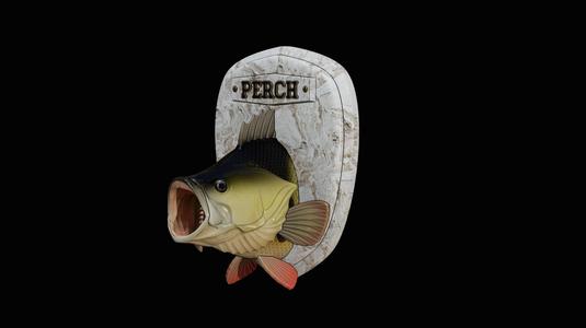 european perch / Perca fluviatilis head trophy open mouth statue detailed texture for 3d printing
