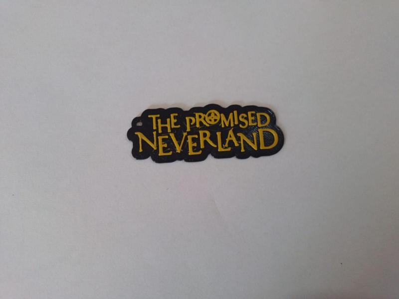 The Promised Neverland Anime Key Chain