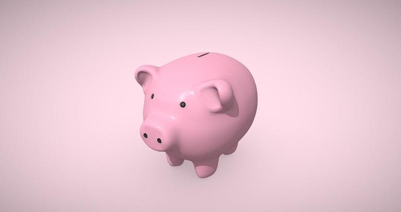 Piggy Bank Toy