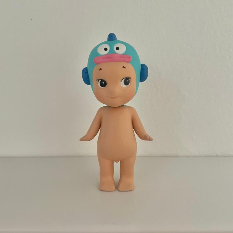 Surprise Angel Fish (Pre Supported)