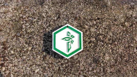 Ingress Enlightened 2-sided keychain. Both sides 'pop out'