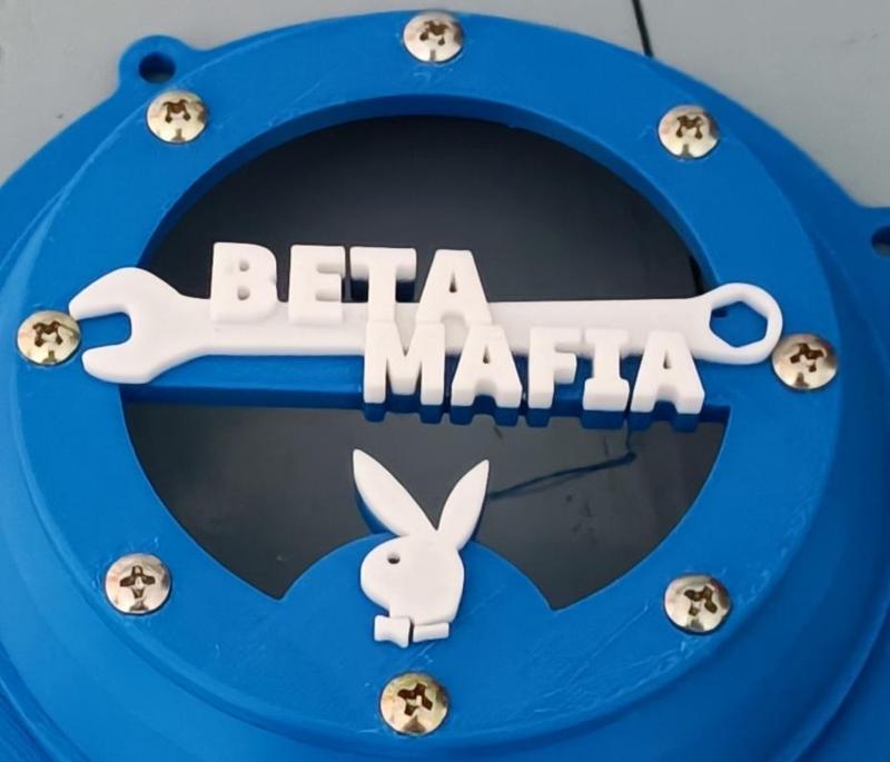 Beta Mafia cover for am6/rabasa ignition cover!