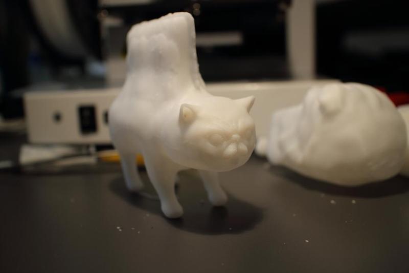 The Real Nyan Cat, original artwork by e.wang, simulacrumstudios