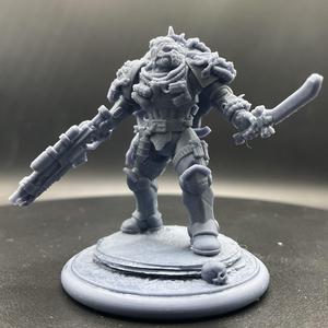 Crusader knight feral ranger