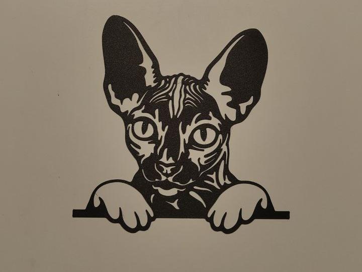 sphynx cat wall art