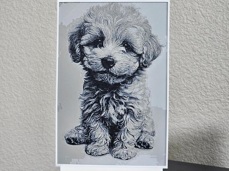Bichon Frise Puppy - HueForge