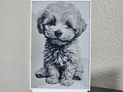Bichon Frise Puppy - HueForge