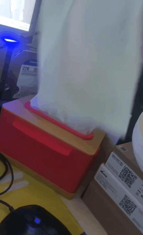 Genshin Impact Raiden Shogun themed tissue box, printable in multiple colors