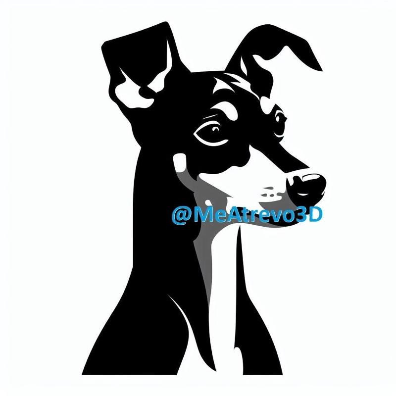 Miniature Pinscher #11