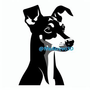 Miniature Pinscher #11