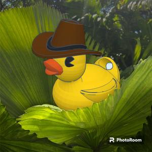 Cowboy Duck Key Chain