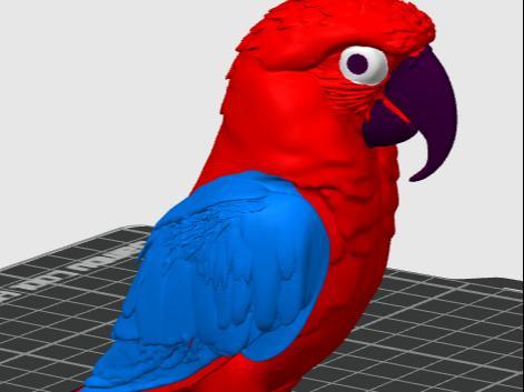 PARROT