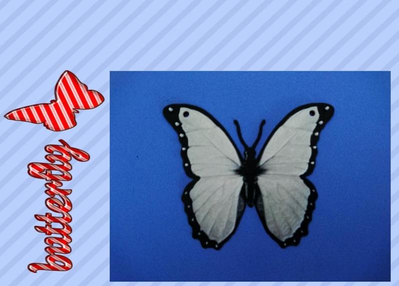 Colgante Mariposa /  pendant butterfly