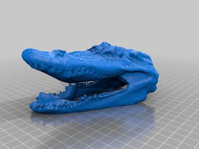 crocodile head