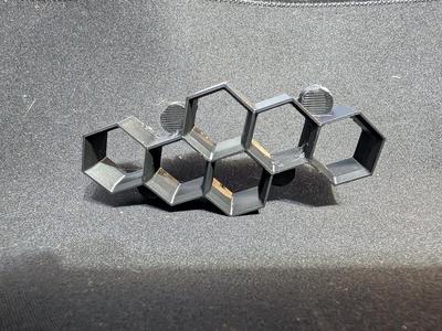 Hexagonal Magnetic Jumping Spider Hide