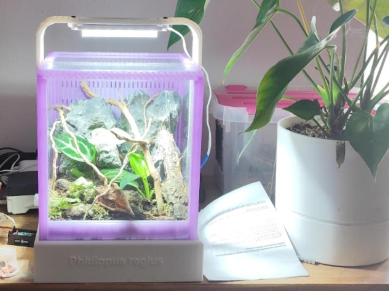 terrarium ~20*20*20 capillary self-watering