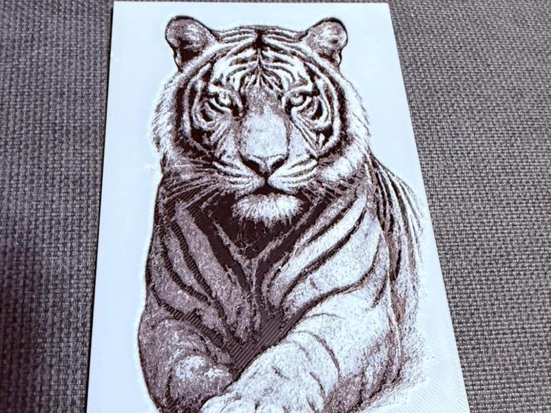 King of White Ridge - Tiger