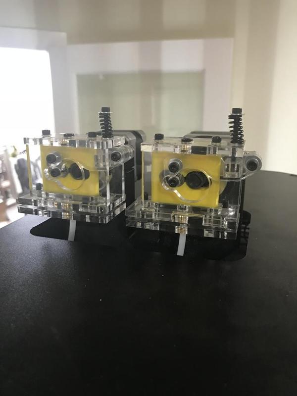 Rostock ProStruder Dual Mount