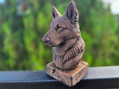Old German Shepherd Bust