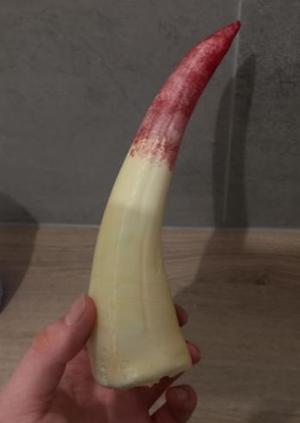 Basilisk Fang