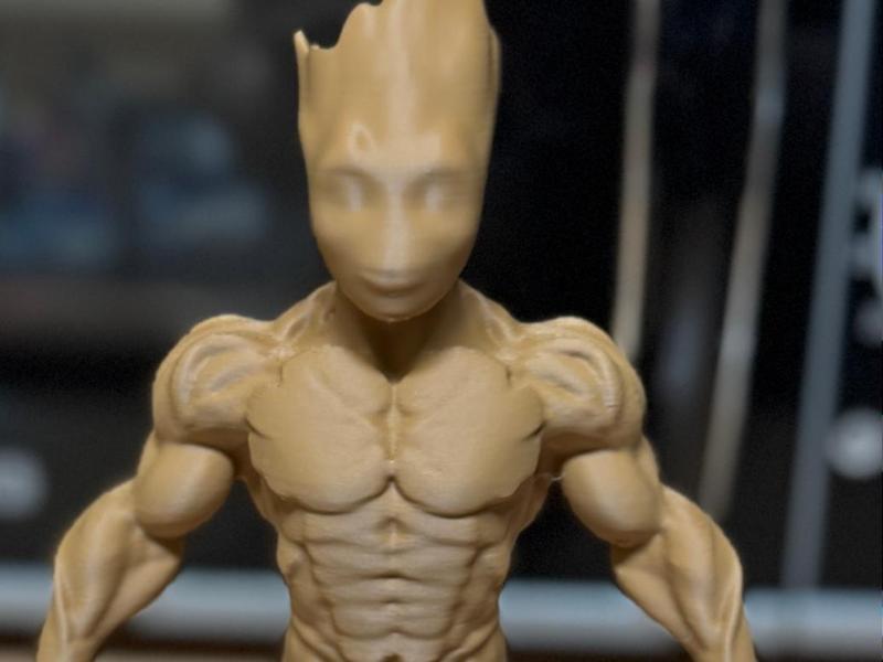 Groot der Bodybuilder