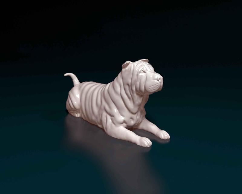 Shar pei dog