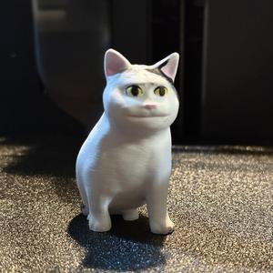 Cat meme - The Polite Cat