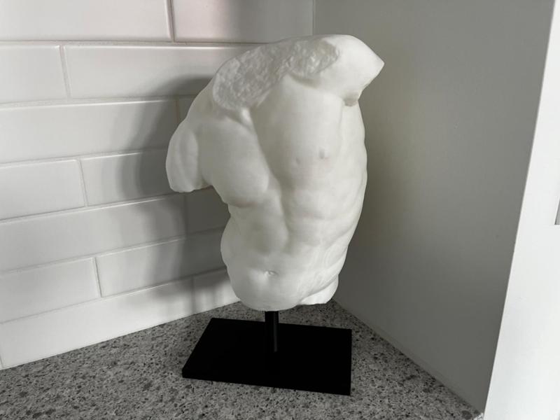 Gaddi Torso
