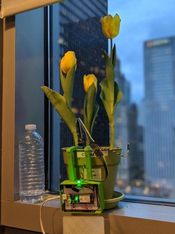 Pachamama Plant Monitor Case