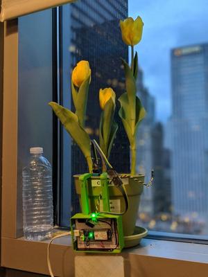 Pachamama Plant Monitor Case