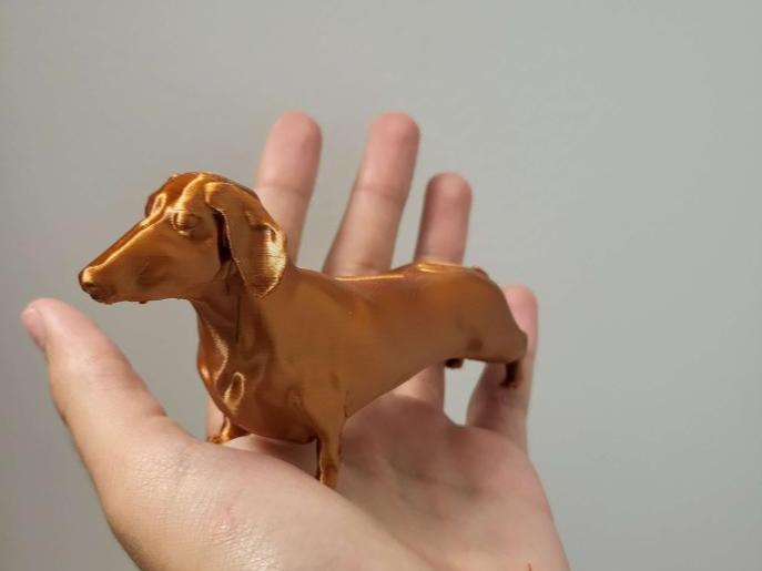 Dachshund/wiener dog 3d model