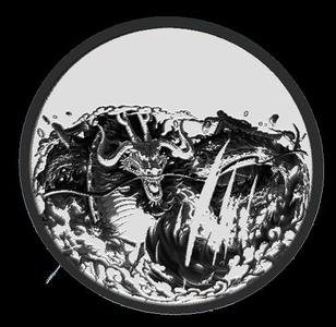 kaido one piece coasters