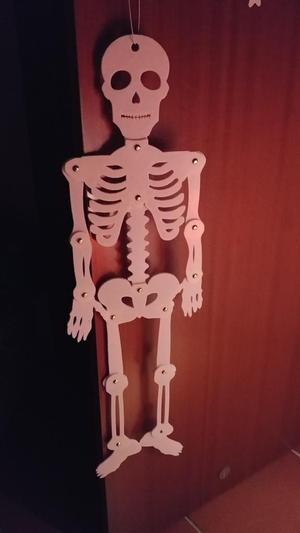 Skeleton 2D