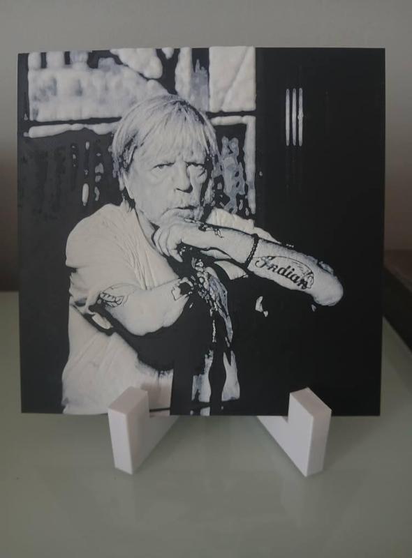 Hueforge singer Renaud portrait without AMS