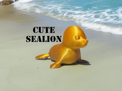 Cute Sea Lion