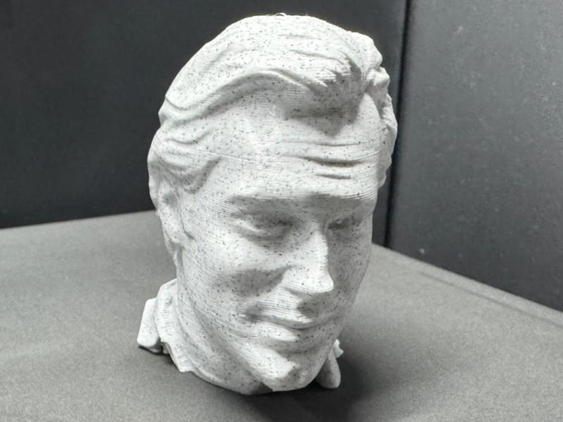 Henry Cavil bust