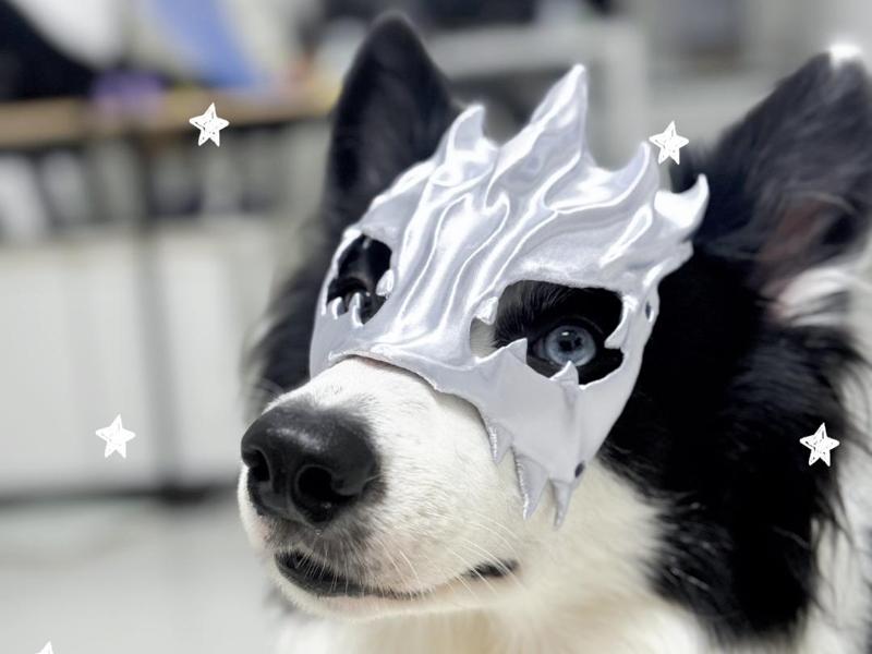 Dog Decoration Mask Dog Ornament Pet Supplies