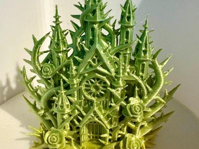 Rose thorn cathedral