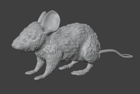 Mouse