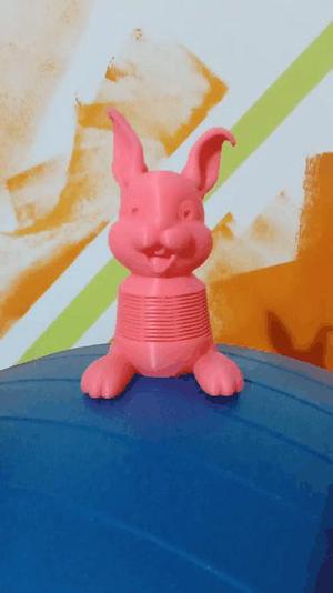 Hopping Rabbit - spring