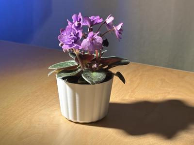 Small Planter Pot