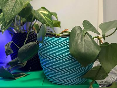 Planter medium