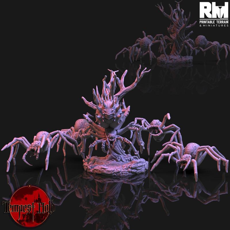 Tempest Hold Graveyard Spiders