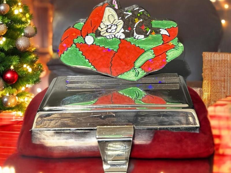 Figaro sleeping on a Christmas quilt