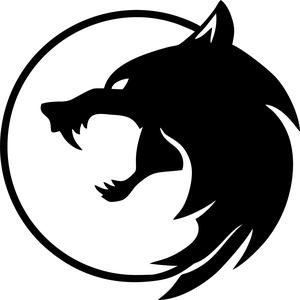 The witcher earrings